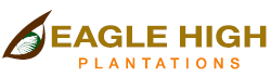 PT EAGLE HIGH PLANTATIONS TBK