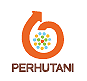 PERUSAHAAN UMUM KEHUTANAN NEGARA
